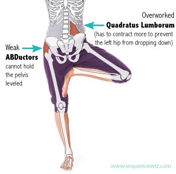 Hip Abductors, Strengthen Hips, Psoas Release, Hip Flexor Exercises, Yoga Anatomy, Hip Flexor Stretch, Tight Hip Flexors, Yoga Video, Psoas Muscle