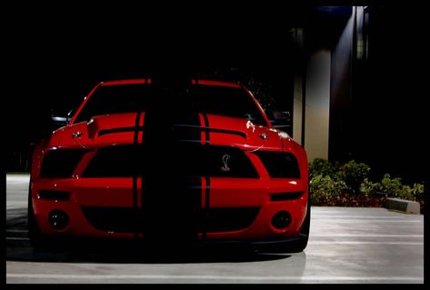 Shelby Gt 500, Ac Cobra, Shelby Gt, Shelby Gt500, Ford Mustang Shelby, Shelby Cobra, Mustang Cars, G Wagon, Mustang Shelby