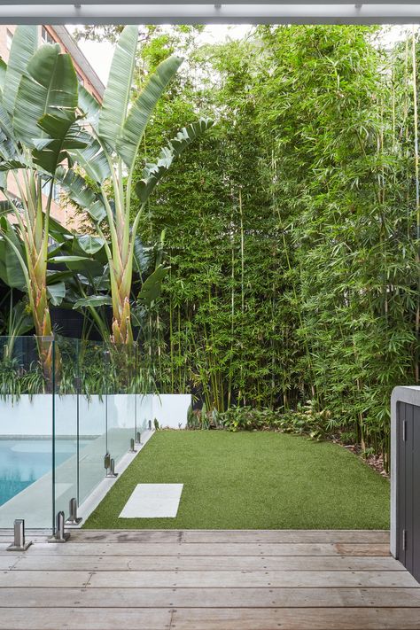 If you're looking for a natural way to keep nosy neighbours out of your backyard, planting some bamboo is a great option. The tall stalks make for a lush and leafy privacy screen that'll have you feeling like you're in your own little world. Bamboo In Garden Design, Bamboo Hedge Privacy Screens, Screen Neighbours Backyard Privacy, Tropical Screening Plants, Tall Screening Plants, Tropical Privacy Landscaping, Privacy Landscaping Small Yard, Tall Tropical Plants, Bamboo Screening Ideas