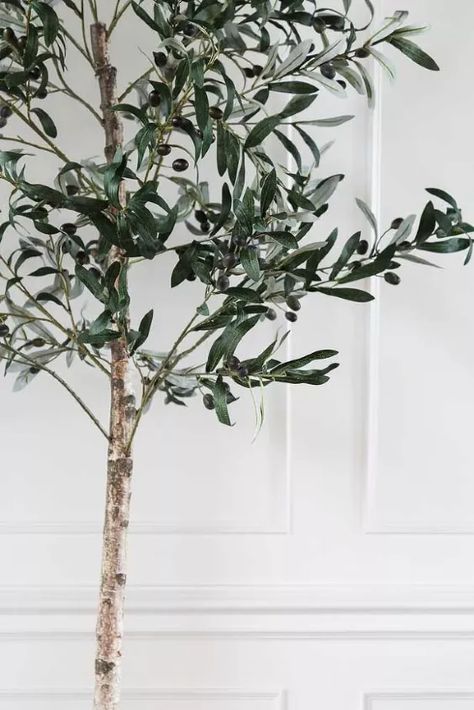 DIY Olive Tree That Looks High-End | Hometalk Diy Olive Tree, Faux Plants Decor, Topiary Diy, Drill Bit Sizes, Faux Olive Tree, Fake Trees, Olea Europaea, Diy Porch, Diy Tree