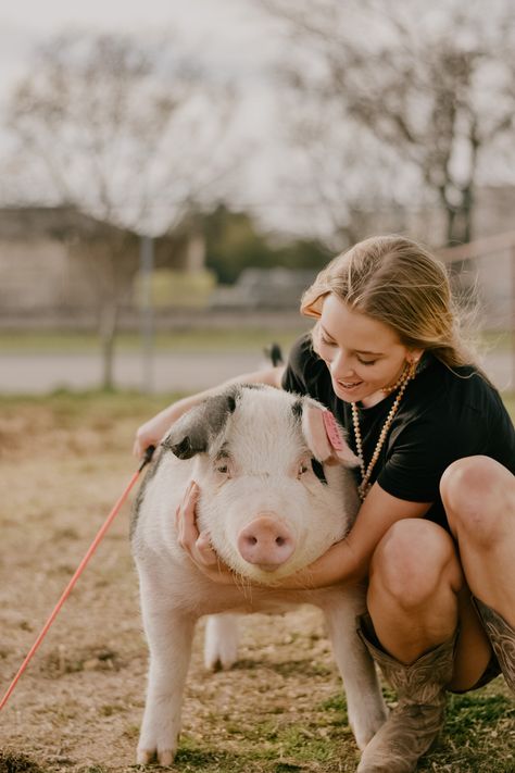 Ffa Pig Pictures, Show Pig Pictures, Show Pig Aesthetic, Country Aethstetic, Pigs Pictures, Livestock Pictures, Ffa Pictures, Showing Pigs, Farm Shoes