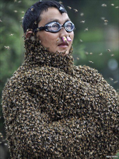 Beekeeper Wang Dalin, 42, stands with bees partially covering his body during a bee-attracting competition  July 16, 2011. Buzz Bee, Honey Bee Hives, Bee Photo, Attracting Bees, Save The Bees, Bee Happy, Bee Keeping, Bee Hive, Jon Snow