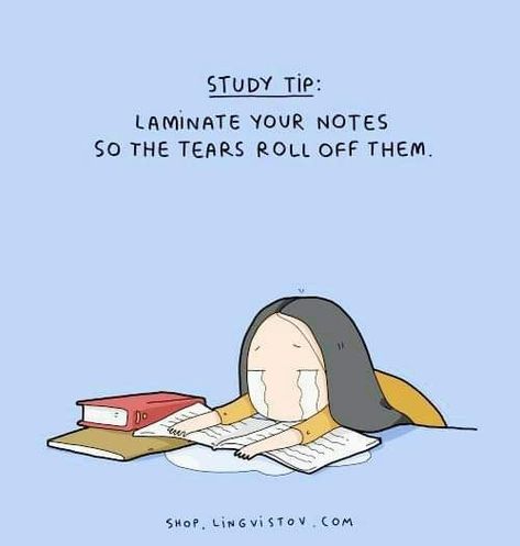 Sarcastic Smile, Funny Cartoons Drawings, Studying Girl, Funny Illustration, Funny Doodles, Cover Girl, Girls Cartoon Art, Cute Comics, Funny Cartoons