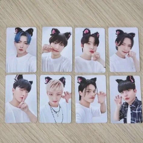 Ateez Cat Ears, Ateez Photocards, Black Cat Ears, My Weakness, Cartoon Pics, Cat Ears, Photo Cards, Black Cat, Black