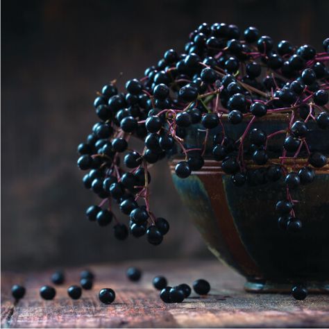 Elderberry D3fense | Nature’s Sunshine United States Elderberry Health Benefits, Benefits Of Berries, Mother Earth Living, Bowl Of Cereal, Elderberry Syrup, Frozen Food, Flan, Natural Health, Blackberry