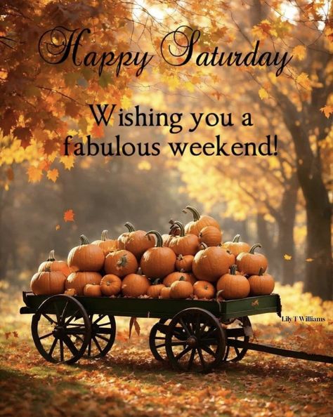 Saturday Morning Greetings, Happy Saturday Quotes, Saturday Morning Quotes, Happy Saturday Images, Good Morning Animals, Good Morning Happy Saturday, Saturday Quotes, Good Morning Saturday, Afternoon Quotes