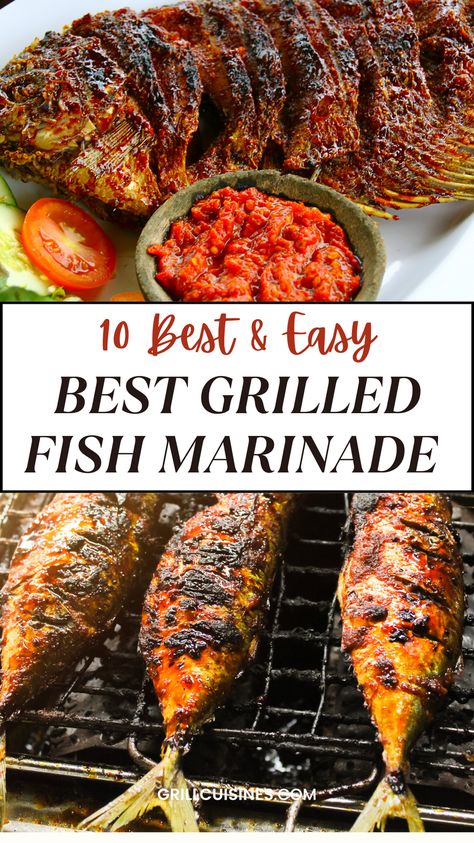 The Best Grilled Fish marinade Recipes are perfect for making grilled fish tacos, glazed salmon, marinated fish, blacked fish, cedar plank grilled fish, and so much more. | summer fish ideas | healthy fish dinners | grilled seafood, Fish On The Bbq, Grilled Halibut Marinade Recipes, Grilled Striper Fish Recipes, Marinade For Fish Tacos, Tile Fish Recipe Grilled, Bbq Fish Grill, Grilled Fish Dinner Ideas, Grilled Perch Fish Recipes Fish Bbq Grilled, Amberjack Fish Recipes Grilled, Grilled Striper Fish Recipes, Blue Marlin Recipe, Striper Fish Recipes, Blacked Fish, Grilled Fish Marinade, Halibut Marinade, Bbq Fish Recipes