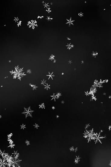 I Love Snow, Snow Crystal, Xmas Wallpaper, Snow Flakes, Phone Wallpaper Design, Background Pictures, Christmas Aesthetic, Dark Wallpaper, Pretty Wallpapers