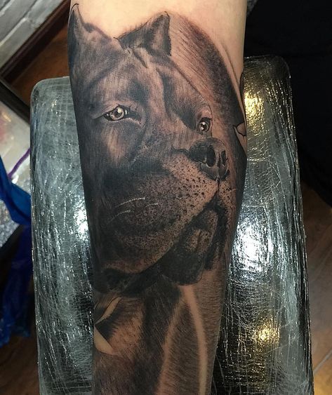 Photo by (iampatelepentoo) on Instagram | #canecorso #dog #doglover #tattoo #tat#black#blackandwhite #armtattoo #doggy Cane Corso Dog Tattoo, Came Corso Tattoo, Cane Corso Tattoo Ideas, Cane Corso Tattoo, Black Cane Corso, Animal Magazines, Arm Tats, Dog Outline, Dog Line Art