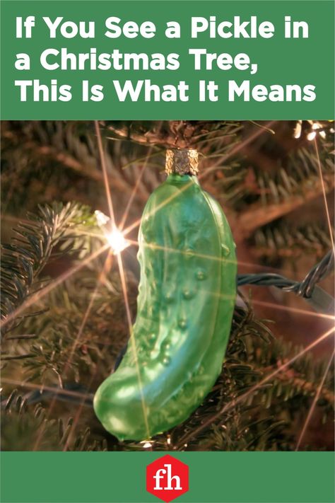 We all have our Christmas traditions, but here’s one perhaps you haven’t heard of: The Christmas pickle. #christmasornament #xmasornament Christmas Pickle Tradition, Christmas Pickle Ornament, Pickle Ornament, Christmas Pickle, Why Do People, Mom And Grandma, Xmas Ornaments, Why People, Gift Store