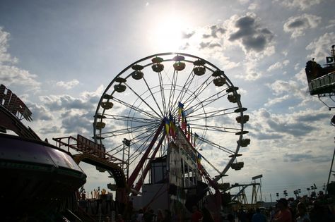 The Missouri State Fair in Sedalia, Missouri Sedalia Missouri, Midwest Travel, Missouri State, Family Travel Destinations, State Fair, Free Fun, 50 States, Where To Go, Agriculture