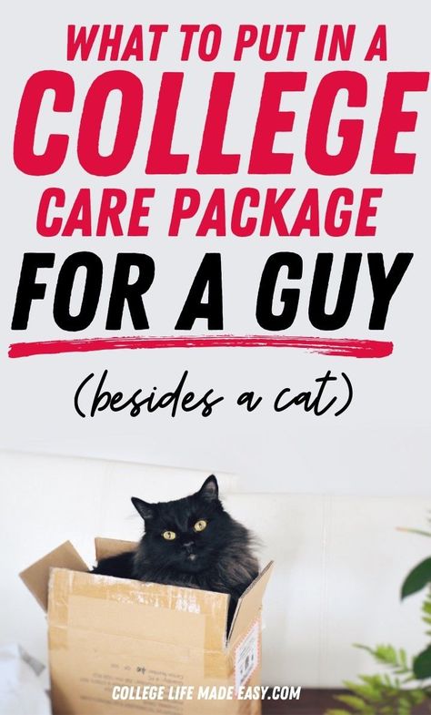 College Care Package Group, College Treat Bags Care Packages, Care Package Ideas For Son In College, Boy College Care Package Ideas, College Packages For Guys, Best College Care Package Ideas, College Care Package For Guys, Dorm Gifts For Guys, Care Package Ideas College Boy