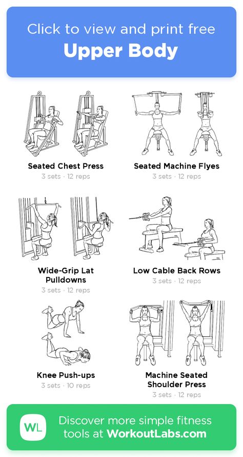 Free Workout: Upper Body · WorkoutLabs Fit Gym Machine Upper Body Workout, Lower And Upper Body Workout, Back And Shoulder Workout Gym Machine, Intermediate Upper Body Workout, Hammer Strength Machine Workout, Upper Body Workout At Gym Machine, Upper Body Free Weight Workout, Gym Equipment Workout Routine, Upper Body Workout At Gym