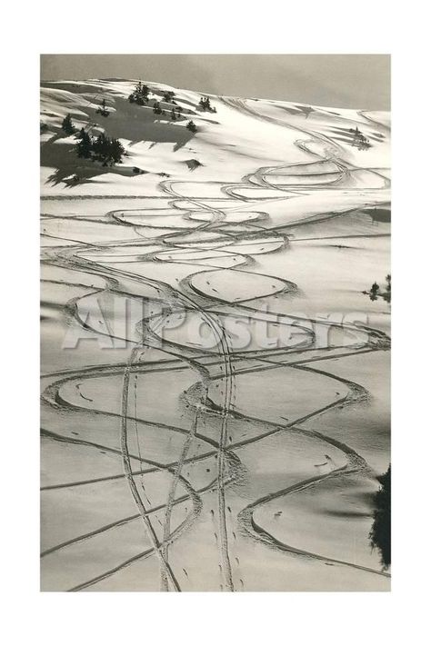 Ski Trails in Snow Landscapes Art Print - 41 x 61 cm Snow Trails, Snowboard Art, Ski Decor, Ski Trails, Snow Art, Farm Art, Art Print Display, Landscape Poster, Sports Art