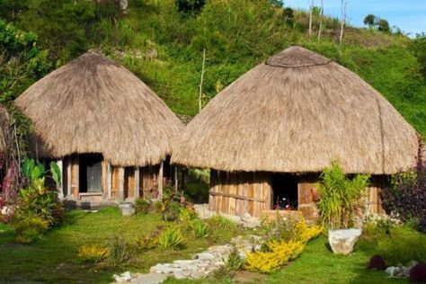 Rumah adat Papua yang sederhana namun penuh filosofi dan sarat fungsi. Ada tujuh jenis rumah adat Papua lengkap yang terkenal. Apa saja? West Papua, Traditional Homes, Traditional Houses, Singapore Travel, Southeast Asia Travel, Island Travel, Tropical Islands, Archipelago, Asia Travel