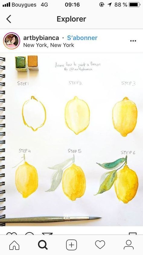 Tracing Pictures, Art Tutor, 귀여운 음식 그림, Watercolour Flowers, Blog Art, Watercolor Paintings For Beginners, Watercolor Fruit, Painting Canvases, Amazing Paintings