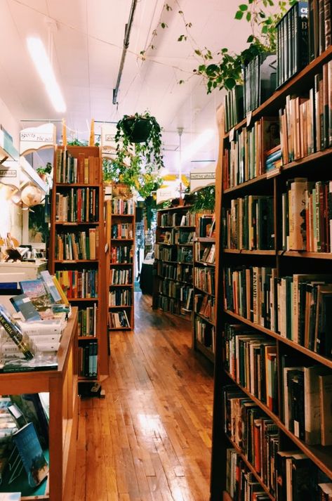 Cozy Bookstore Cafe Aesthetic, Small Book Store Aesthetic, Second Hand Bookstore Aesthetic, Bookshop Owner Aesthetic, Indie Bookstore Aesthetic, Used Bookstore Aesthetic, Cozy Bookshop Aesthetic, Library Cafe Aesthetic, Cozy Book Store