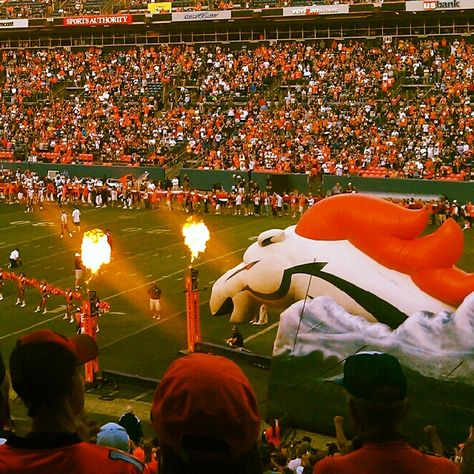 Does your Heaven on Earth include a Broncos game??? Denver Broncos Aesthetic, Couples Costume Ideas, Denver Broncos Baby, Denver Bronco, Comic Con Costumes, Go Broncos, Denver Broncos Football, Bleed Blue, Couples Costume