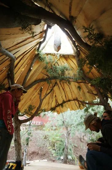 Magical Treehouse, Whimsical Treehouse, Earth House, Tree House Designs, Earth Homes, Natural Building, Super Natural, Morning Light, The Natural