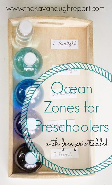 Small sensory bottles are the perfect way to explore the zones of the ocean with preschoolers! These easy DIY bottles with free printable, make this concept concrete and fun for kids of all ages! Ocean Sensory Bottles, Zones Of The Ocean, Ocean Sensory, Diy Bottles, Ocean Zones, Ocean Habitat, Ocean Theme Preschool, Montessori Geography, Ocean Projects