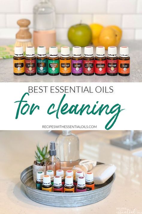 Essential Oils For Floor Cleaning, Essential Oils For Bathroom, Best Essential Oils For Cleaning, Essential Oil Cleaner Recipes, Essential Oil Cleaning Recipes, Essential Oils For Cleaning, Essential Oil Cleaner, Cleaning Basket, Essential Oils For Laundry