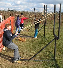 Nauman's Farms, Corn Maze and Pumpkin Patch in St. Clements, Ontario Pumpkin Patch Corn Pit, Pumpkin Patch Farm Activities, Fall Obstacle Course, Farm Obstacle Course, Goat Obstacles, Corn Maze Activities, Pumpkin Patch Attractions, Agrotourism Ideas Farms, Corn Maze Ideas