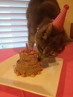 A birthday cake for your cat So it's just wet cat food topped on each other with kibbles Could totally do this for fuzzy too ! Birthday Cakes For Cats, Cat Ideas, Cat Birthday Party, Homemade Cat, A Birthday Cake, Wet Cat, Kitty Party, Wet Cat Food, Week 5