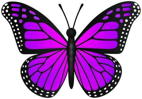 Butterfly Violet, Happy Birthday Png, Rosé Png, Halloween Clips, Easter Pictures, Easter Clipart, Birthday Clipart, Valentine Clipart, Happy New Year Png