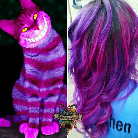 Cheshire cat inspired hair!  Oh, you can't help that. Most everyone's mad here.  can you find the tail?  This is an example for #disneypoplocks contest!  Details In my previous post  @bottleblonde76 @lollypoplocks @rachellaroux @nothingbutpixies @imallaboutdahair @wesdoeshair @hairbykaseyoh ##behindthechair #modernsalon #beautylaunchpad #hotonbeauty #americansalon #disney Cheshire Cat Hair, Cat Hairstyles, Arctic Fox Hair Color, Shadow Root, Disney Pop, Pulp Riot, Dye Ideas, Were All Mad Here, Unicorn Hair