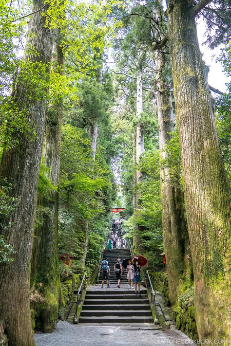 Japan Mountains, Hakone Japan, September Travel, Japan Honeymoon, Japan Bucket List, Japan Destinations, Japan Vacation, Hakone, Japan Travel Tips