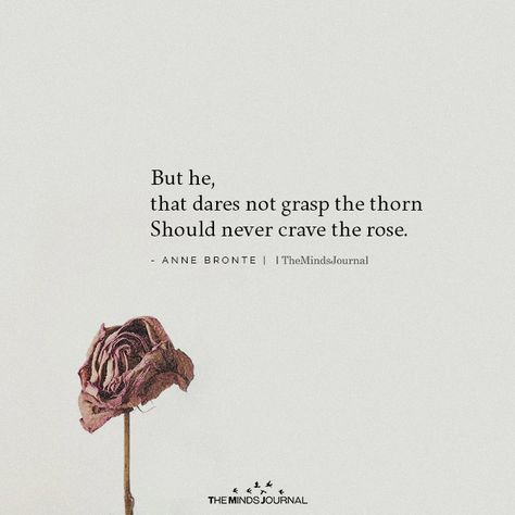 But He Who Dares Not Grasp The Thorn, Thorn Quotes, House Tyrell, Beautiful Darkness, 2023 Quotes, Chance Quotes, Anne Bronte, Midnight Thoughts, Soul Tattoo