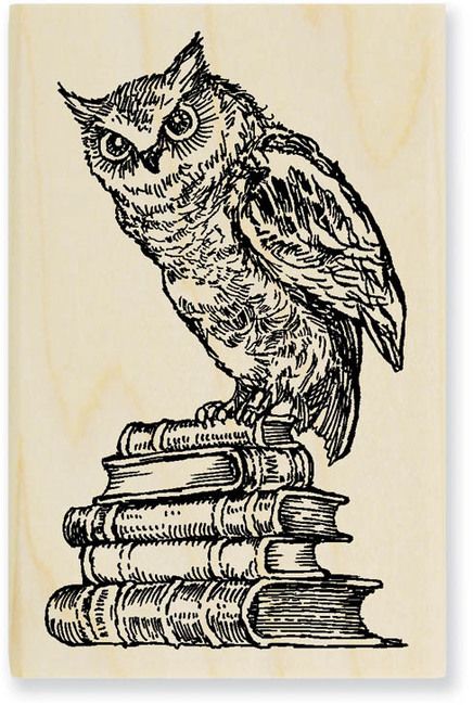 Owls - Rubber Stamps Inktober 2024, Owl Books, Owl Images, Arte Peculiar, Owl Illustration, Owls Drawing, Owl Tattoo, Vintage Owl, Owl Art