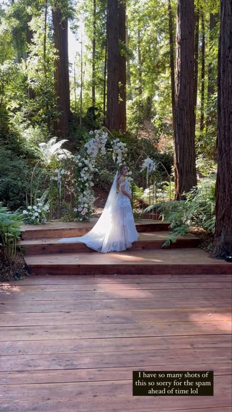 Brooklyn And Dakota, Brooklyn Mcknight Wedding, Brooklyn Mcknight, Enchanted Forest Wedding Theme, Forest Theme Wedding, Brooklyn And Bailey, Enchanted Forest Wedding, Brooklyn Wedding, Whimsical Wedding