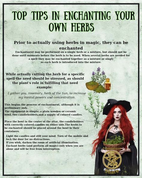 **Top Tips for Witchcraft Enchanting Herbs 🌿✨** 1. **Choose Fresh Herbs**: Fresh herbs hold more energy and potency. 2. **Set Your Intention**: Focus on your desired outcome while working with herbs. 3. **Use Correspondences**: Research which herbs align with your goals (e.g., rosemary for protection). 4. **Create a Sacred Space**: Clear your area to enhance your magical work. Share this with a friend who loves witchcraft! 🌙💖 #WitchcraftWisdom #herbalife #witchtips #witch #Paganartisan Protection Correspondences Witchcraft, Witchcraft Enchanting, Herbs And Their Uses Witchcraft, Herbs And Their Uses, Truth Spell, Witch Tips, Witch Characters, Witch Potion, Green Witchcraft