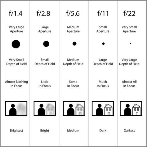 Aperture Chart Kamera Dslr, Smartphone Fotografie, Manual Photography, Digital Photography Lessons, Lens Aperture, Dslr Photography Tips, Photography Settings, Nikon D5200, Bokeh Photography