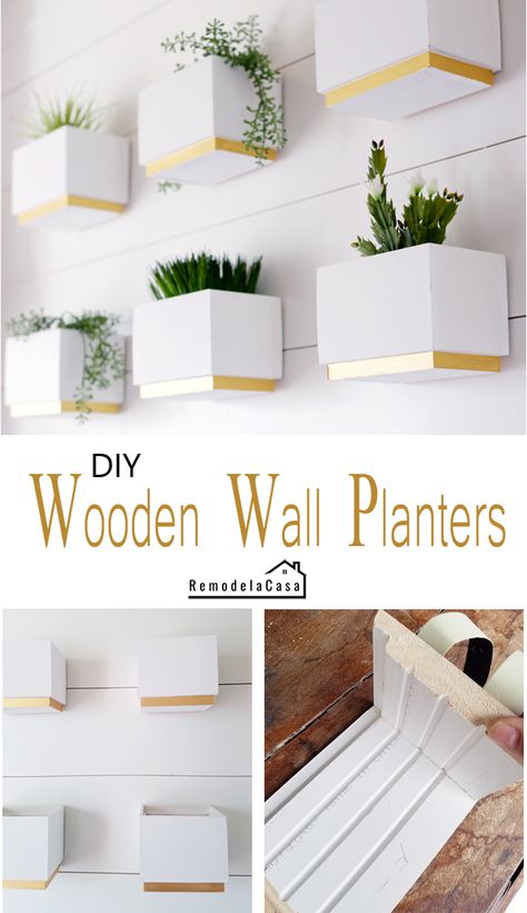 Outdoor Wall Planter Ideas Diy, Wall Planters Indoor Diy, Diy Wall Planter Indoor, Wooden Box Planters, Diy Wooden Box, Gallery Wall Diy, Diy Planters Indoor, Diy Wooden Planters, Diy Wooden Wall