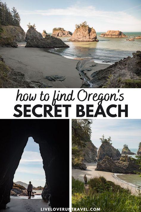 Find out everything you need to know to visit Secret Beach in Oregon, one of the best beaches in Oregon. Get tips on how to find Secret Beach Oregon, the best time to visit, and more to enjoy one of the best stops on an Oregon coast road trip. | secret beach oregon coast | secret beach brookings oregon | samuel h boardman state park | samuel h boardman scenic corridor | samuel h boardman state scenic corridor | south oregon coast road trip | best oregon beaches | best beaches oregon coast Short Sand Beach Oregon, Tunnel Beach Oregon, Hobbit Beach Oregon, Arcadia Beach Oregon, Oregon Must See Places, Samuel H Boardman State Park, Secret Beach Oregon, Portland Oregon Beach, Japan Beaches