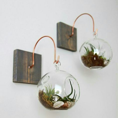 @eutambemdecoro Terrarium Design, Terrarium Gifts, Diy Lampe, Terraria, Deco Floral, Cool Ideas, Decor Guide, Retro Home Decor, Easy Home Decor