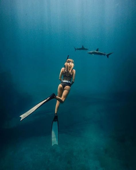 Freediving photos & gear guide on Instagram: “READY FOR NEW ADVENTURES  _ #bestfreedivegear  Find the Best Freedive Gear with us➡️ bestfreedivegear.com!  _  @lisavaleriek 📷@danhlegend…” Underwater Pictures, 남자 몸, Free Diving, Underwater Photos, Ocean Vibes, Water Photography, Deep Blue Sea, Jolie Photo, Underwater Photography