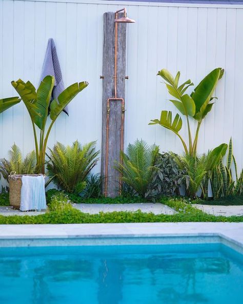 Tropical Planting, Strelitzia Nicolai, Outdoor Showers, Designer Store, Recycle Timber, Plant Supplies, Falling From The Sky, Backyard Garden Design, Pool Landscaping