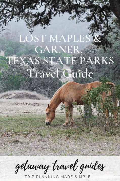 Lost Maples State Park Texas, Lost Maples State Park, Hiking In Texas, Frio River, Garner State Park, Country Nature, Texas Vacation, Texas State Parks, The Woodlands Texas