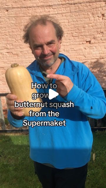 Simon Akeroyd on Instagram: "How to grow a butternut squash from the Supermaket! It’s so easy! 

It’s the season for fresh, local butternut squashes to appear in our shops. 

Cut your butternut squash in half and scoop out the seeds. Dry them on kitchen paper for a few days. Then store them in envelopes in a drawer over winter. Sow the seeds in spring in pots and keep on a sunny windowsill.  Plant outside in the soil once the risk of frosts is over. #growyourgroceries #growyourown #growyourownfood" Butternut Planting, Growing Butternut Squash, Growing Hacks, Butternut Squash Seeds, Squash Seeds, Plant Growing, Kitchen Paper, Garden Harvest, Grow Your Own Food