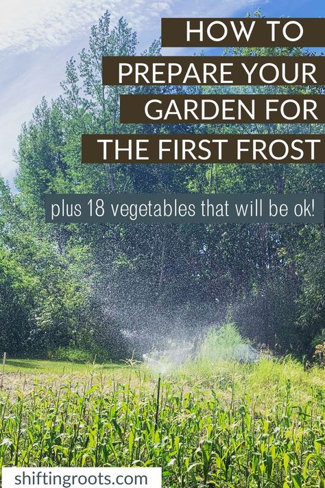 Every fall garden will need to survive the first frost!  Here's exactly what to do, plus 18 vegetables that are cold tolerant and will be okay. List Of Vegetables, Best Perennials, Fall Garden, Square Foot Gardening, Urban Gardening, Annual Flowers, Seasonal Garden, Growing Tomatoes, Vegetable Gardening