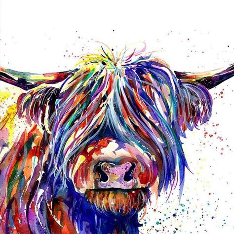 HKLIOPU Diy Paint by Numbers for Adults Beginner-Colorful Highland Cow Animal-Canvas Oil Painting Kit for Kids and Adults-Paint By Number Kits-11.8x11.8 Inch (Without Frame) : Amazon.co.uk: Toys & Games Highland Cow Painting, Pop Art Cat, Highland Cow Art, Highland Cow Canvas, Scottish Highland Cow, Cow Canvas, Cow Painting, Hur Man Målar, Cow Art