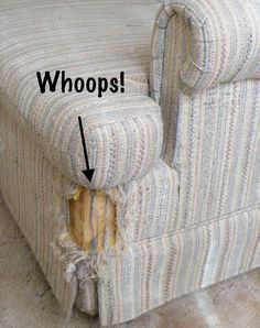 How to keep cats from scratching furniture? Smart behaviorists have answers Kittens Care, Bear Dogs, House Basement, Cat Scratching Furniture, Pet Tips, Cat Scratchers, Furniture Scratches, Fence Posts, Kitty Stuff