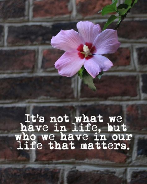 💕✨ Feeling grateful for the amazing people who bring joy and love into my life every day. Remember, it's all about the ones we have by our side! #Gratitude #Blessed #Love #FriendshipGoals #JoyfulMoments #CherishedMemories #PositiveVibesOnly #LoyalFriends #ChoosePositivity #CountYourBlessings #FamilyFirst Blessed With Good People Quotes, Grateful For The People In My Life, Special Thank You Quotes Gratitude, Grateful Quotes Life, Love People Quotes, Good People Quotes, Thank You Quotes Gratitude, Grateful Quotes, Feeling Grateful