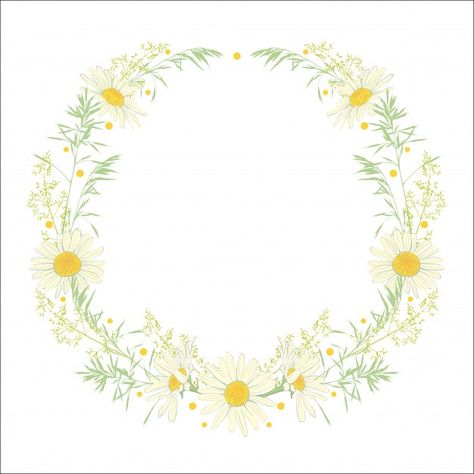 Hand drawn wreath with camomile and herb... | Premium Vector #Freepik #vector #frame #birthday #floral #flower Flower Wreath Illustration, Hand Drawn Wreath, Drawn Wreath, Daisy Background, Painted Window Art, Botany Illustration, Graphic Flowers, Frame Birthday, Wreath Illustration