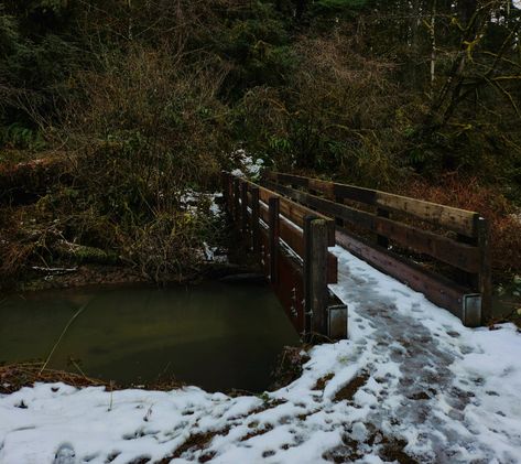 nature, greenery, trees, trail, hiking, explore, adventure, visit oregon, wanderlust, stream, creek, water, snow, frost, frozen, wooden bridge, landscape photography, winter vibes, seasons, muted, earth, moody, aesthetic Winter Camp Aesthetic, Washington Gothic, Pacific Northwest Gothic, Northern Aesthetic, Landscape Photography Winter, Pacific Northwest Aesthetic, Fic Inspiration, Oregon Aesthetic, Pnw Aesthetic