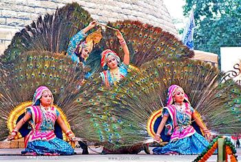 Surajkund Craft Fair Peacock Dance, Peacock Fashion, Dance Indian, Indian Peacock, Dance Of India, Bhagavata Purana, Peacock Costume, Indian Travel, Navratri Festival