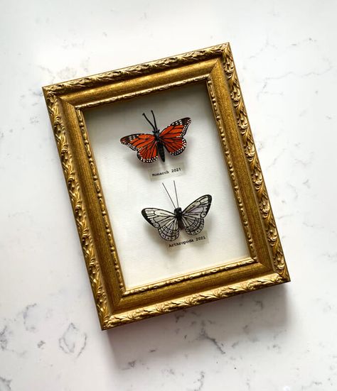 Butterfly Shadow Box, Butterfly Shadow, I Spy Diy, Shadow Box Art, Vintage Frame, I Spy, Craft Blog, Box Art, Room Makeover